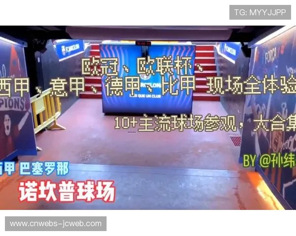 意甲多支球队启动球场改造计划，提升观赛体验